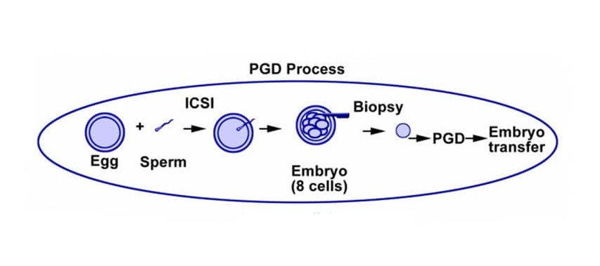 PGD Cost in Siliguri